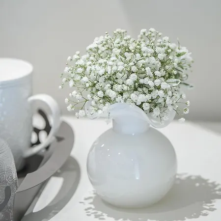 Couette-café Novo 3*