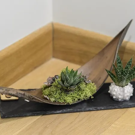 فندق مبيت وإفطار Novo فوجيا