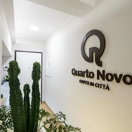 Novo *