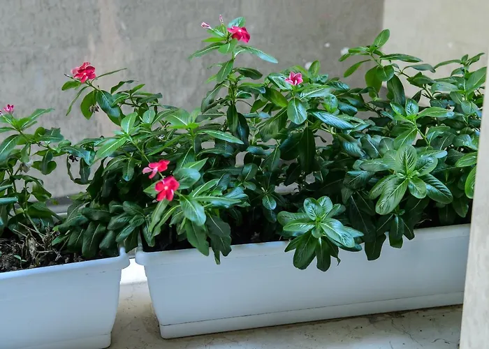 Novo Bed & Breakfast Foggia